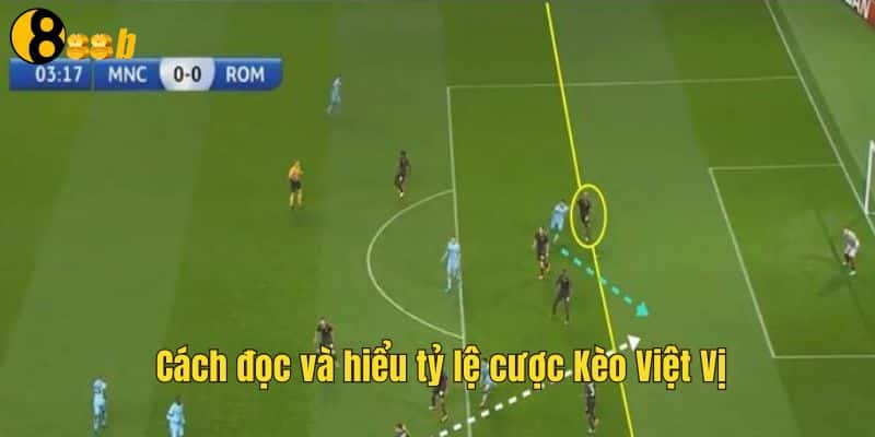 Phân tích tỉ lệ cược và tham gia hợp lý