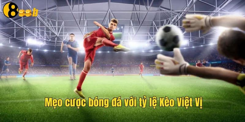 Các yếu tố tác động đến kèo