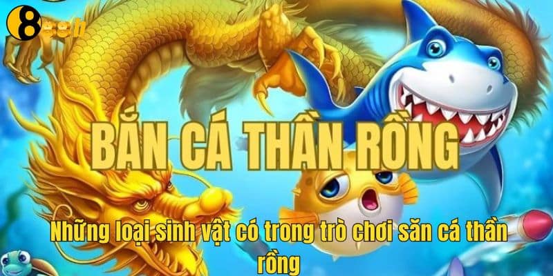 Những loại sinh vật có trong trò chơi săn cá thần rồng