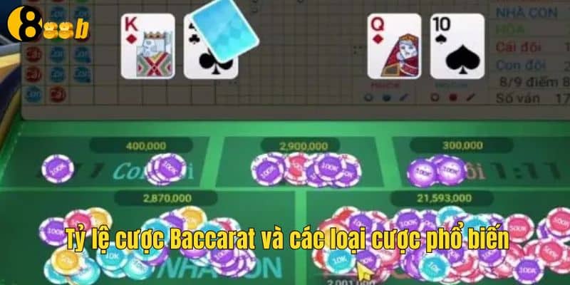 Các loại tỷ lệ cược baccarat phổ biến
